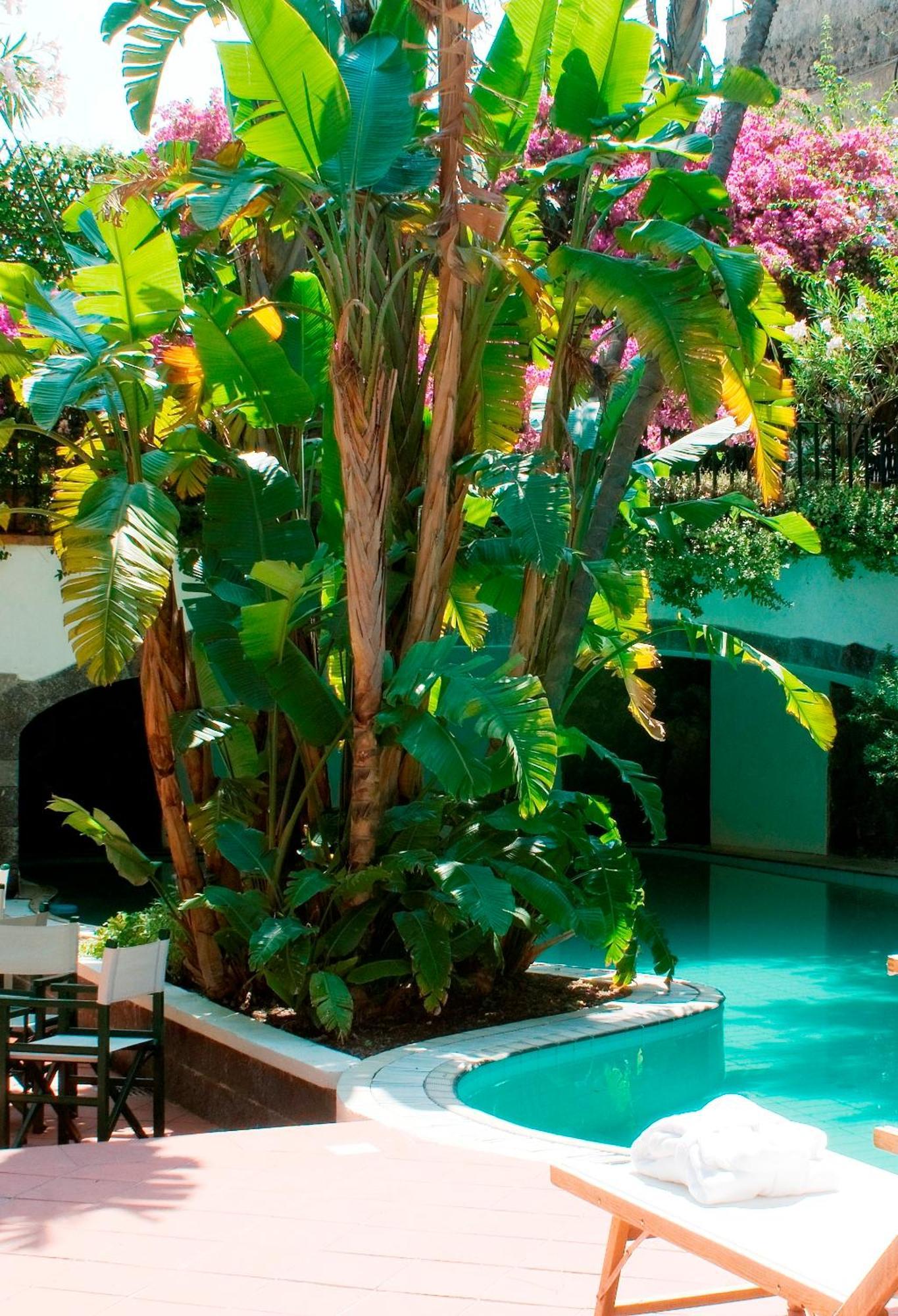 Hotel La Villarosa Terme Ischia Exterior foto